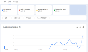 Google Trends关键词搜索趋势截图